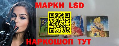 дмт Будённовск