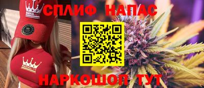 дмт Будённовск