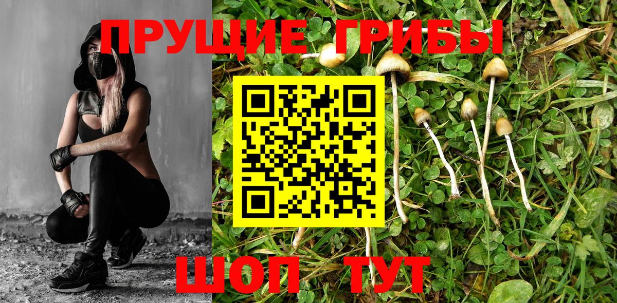 Псилоцибиновые грибы Magic Shrooms Кузнецк