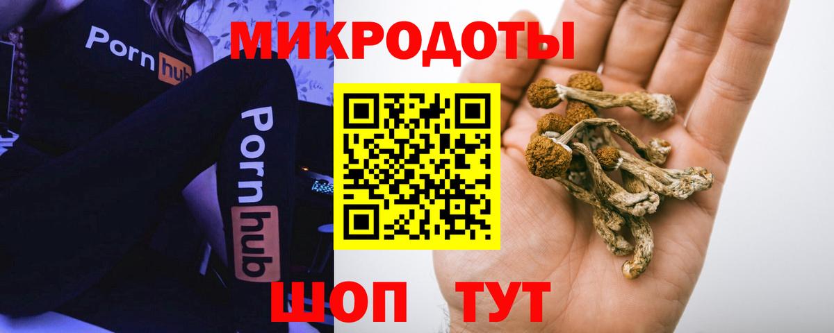 Галлюциногенные грибы GOLDEN TEACHER  Галлюциногенные грибы ЛСД  Кузнецк  Вход с VPN 